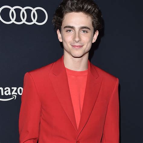 timothee chalamet louis vuitton show|timothee chalamet suit.